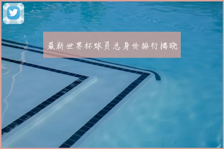 最新世界杯球员总身价排行揭晓