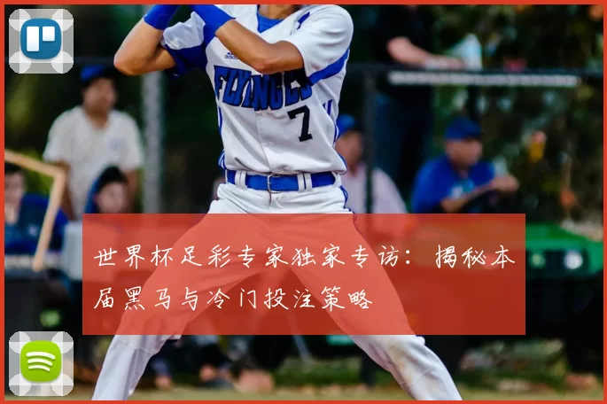世界杯足彩专家独家专访:揭秘本届黑马与冷门投注策略