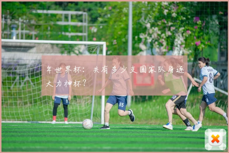 年世界杯:共有多少支国家队角逐大力神杯?