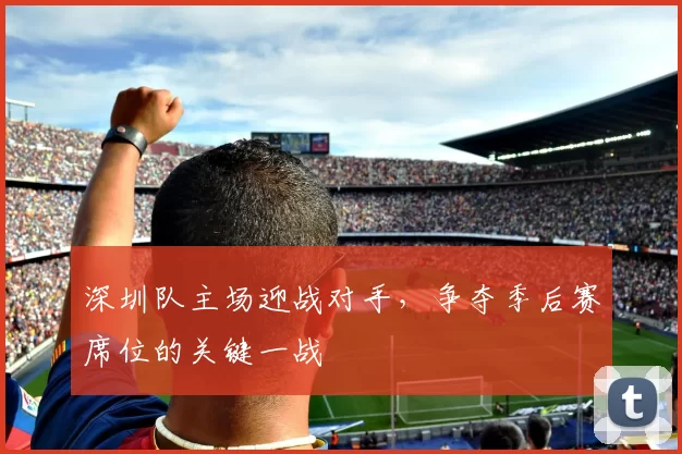 深圳队主场迎战对手，争夺季后赛席位的关键一战