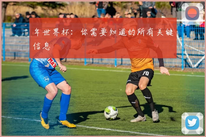 年世界杯：你需要知道的所有关键信息