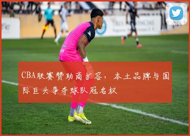 CBA联赛赞助商扩容，本土品牌与国际巨头争夺球队冠名权