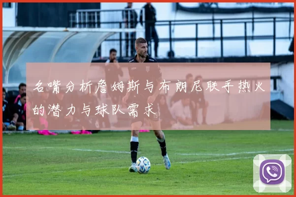名嘴分析詹姆斯与布朗尼联手热火的潜力与球队需求