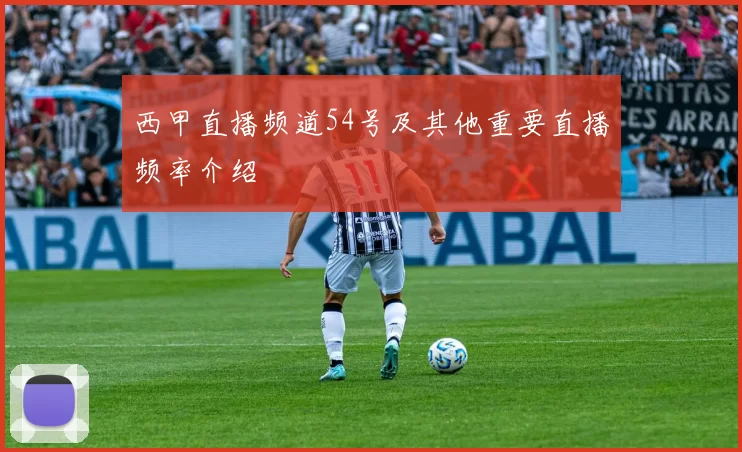 西甲直播频道54号及其他重要直播频率介绍