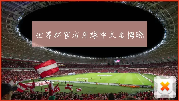 世界杯官方用球中文名揭晓