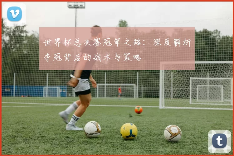 世界杯总决赛冠军之路：深度解析夺冠背后的战术与策略