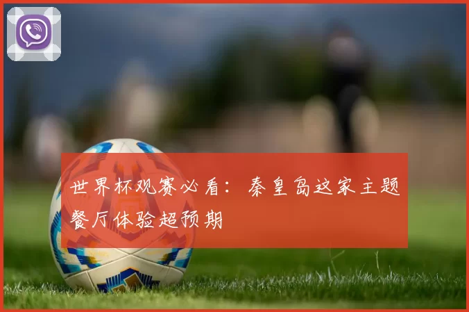 世界杯观赛必看：秦皇岛这家主题餐厅体验超预期