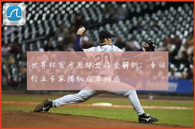 世界杯官方用球价格全解析:专访行业专家揭秘成本构成