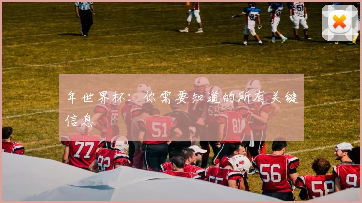 年世界杯：你需要知道的所有关键信息