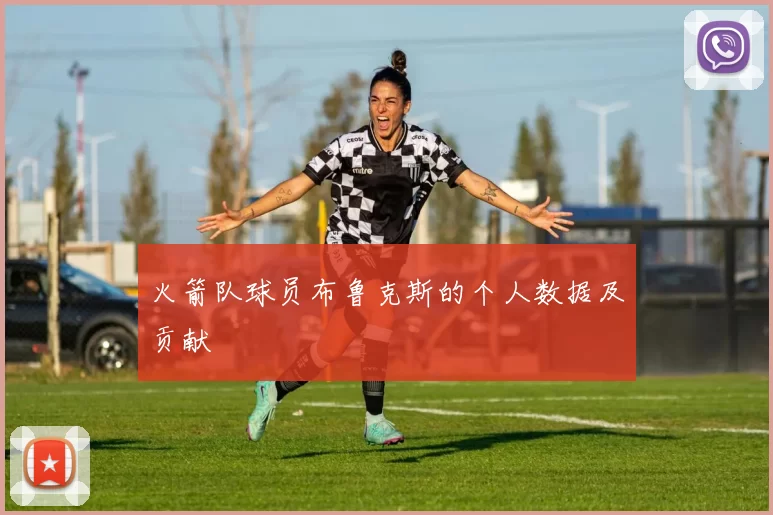 火箭队球员布鲁克斯的个人数据及贡献