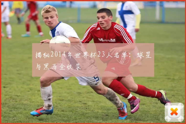 揭秘2014年世界杯23人名单：球星与黑马全收录