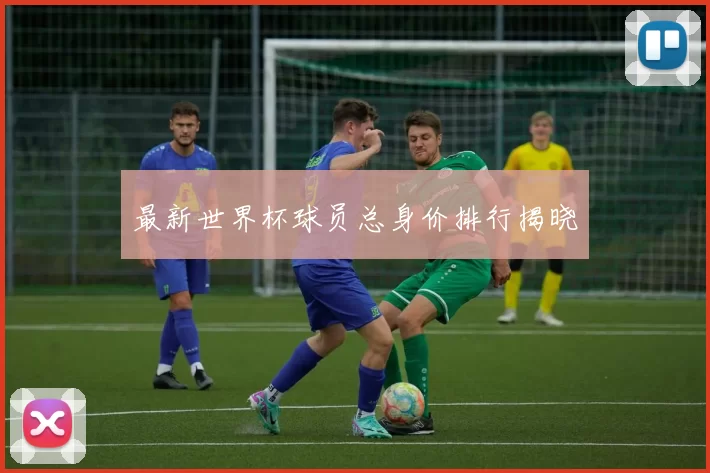 最新世界杯球员总身价排行揭晓