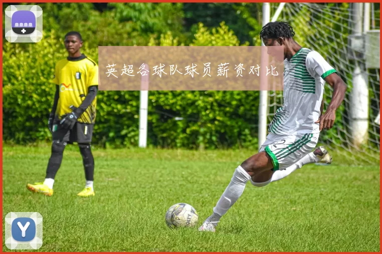 英超各球队球员薪资对比
