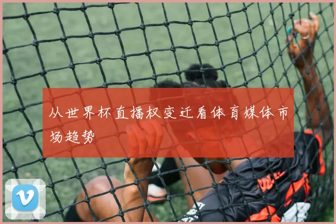 从世界杯直播权变迁看体育媒体市场趋势