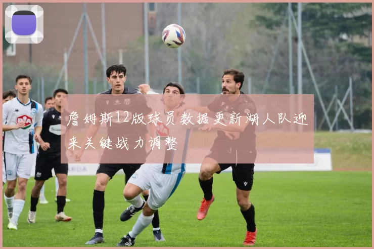 詹姆斯12版球员数据更新湖人队迎来关键战力调整