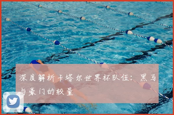 深度解析卡塔尔世界杯队伍：黑马与豪门的较量