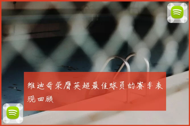 维迪奇荣膺英超最佳球员的赛季表现回顾