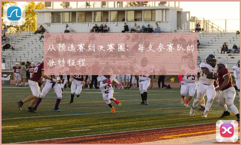 从预选赛到决赛圈：每支参赛队的独特征程