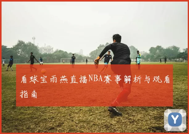 看球宝雨燕直播NBA赛事解析与观看指南